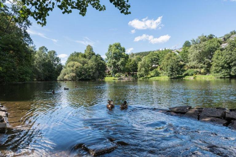 Schwarzwald-Traum Mit Pool Und Sauna Unterkirnach Экстерьер фото